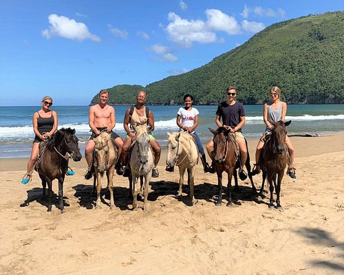 Beach horseback riding