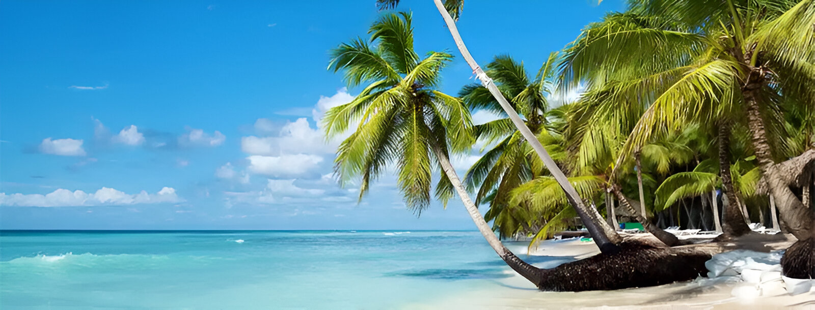 Beaches of the Samaná Peninsula