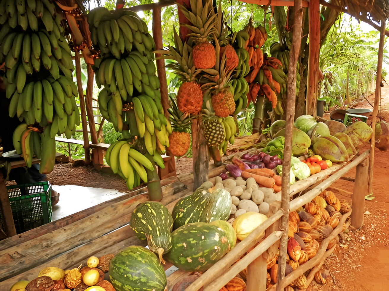 Fresh fruit in Las Terrenas