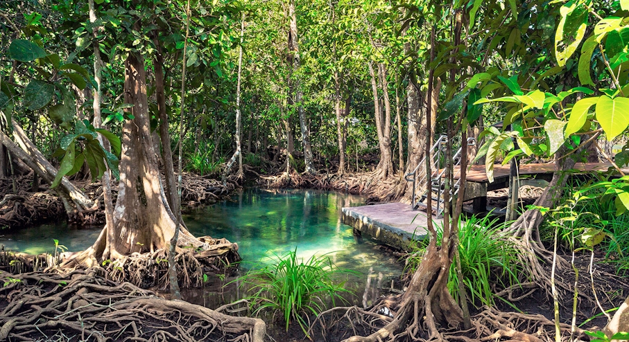 El Parque Nacional de Los Haitises