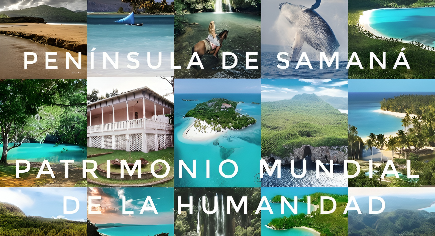 Six raisons de voyager à Samaná avant que les touristes ne la découvrent